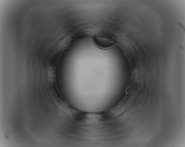 X0000091570234200708271205