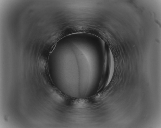 X0000091570235200708271205