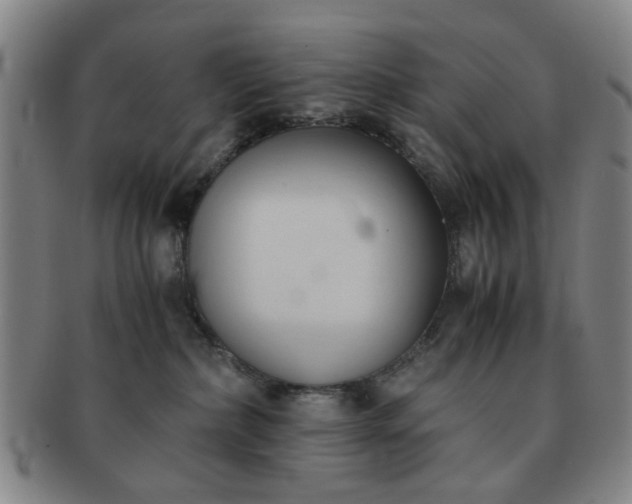 X0000091570236200708271205