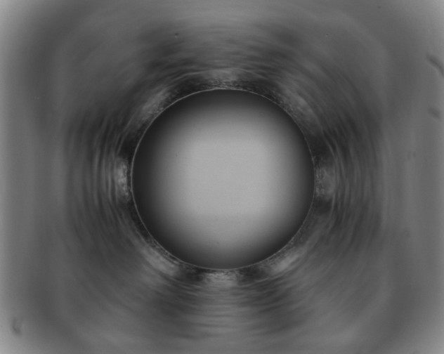 X0000091570238200708271205