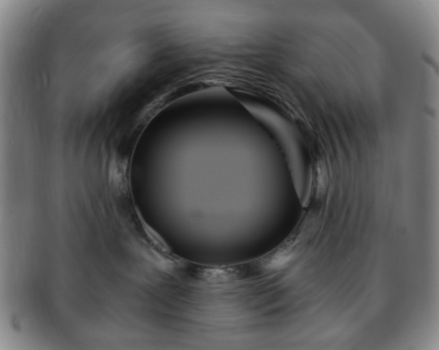 X0000091570239200708271205