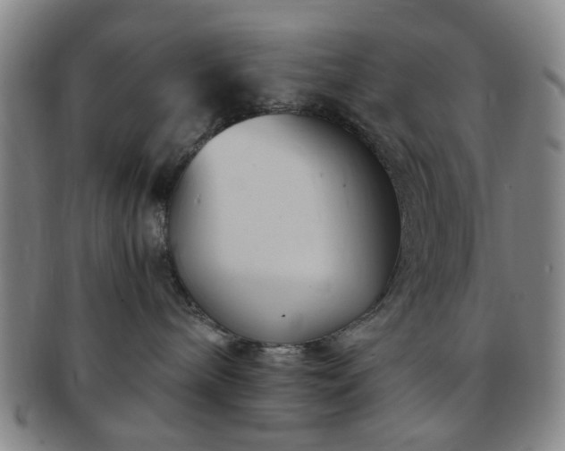 X0000091570240200708271205