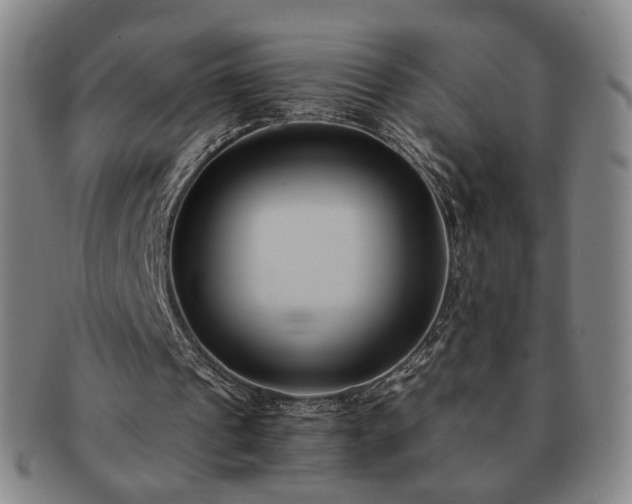 X0000091570241200708271205