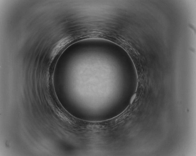 X0000091570242200708271205