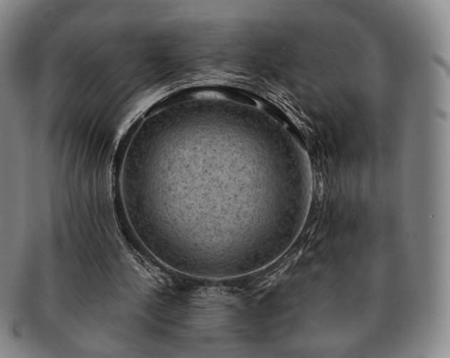 X0000091570244200708271205