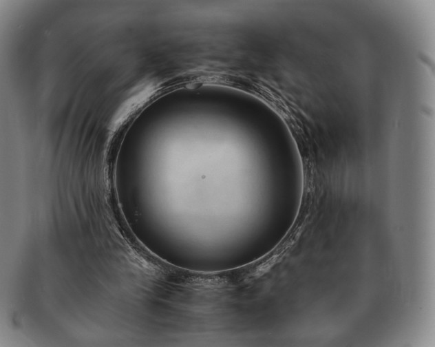 X0000091570245200708271205
