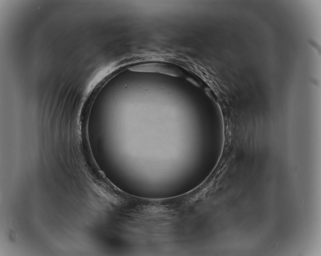 X0000091570246200708271205