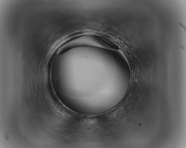 X0000091570247200708271205