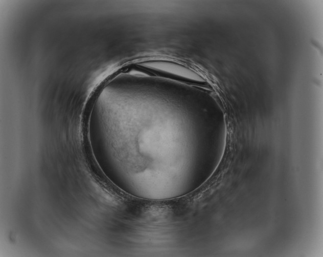 X0000091570248200708271205
