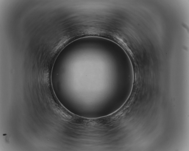 X0000091570249200708271205