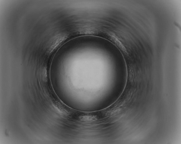 X0000091570251200708271205