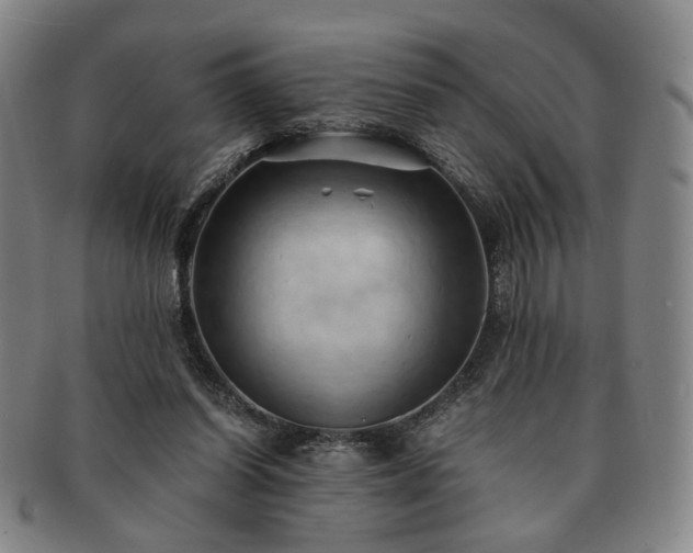 X0000091570254200708271205