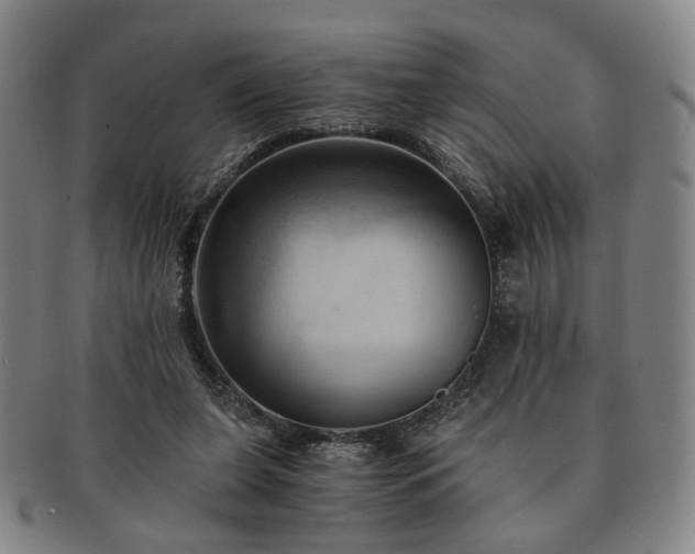 X0000091570255200708271205