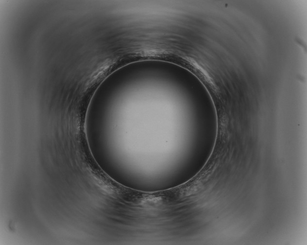 X0000091570257200708271205