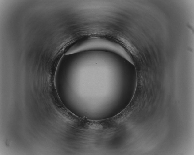 X0000091570258200708271205