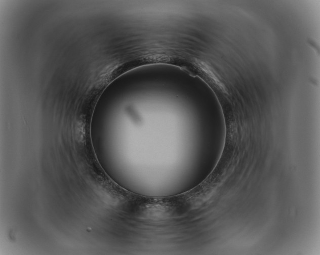 X0000091570259200708271205