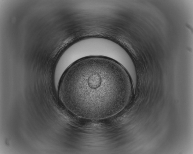 X0000091570260200708271205