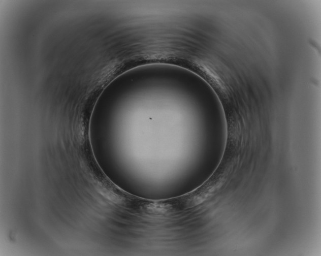 X0000091570261200708271205