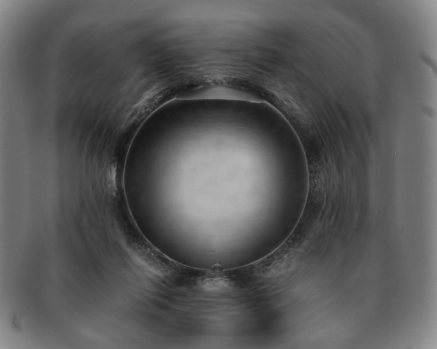 X0000091570262200708271205