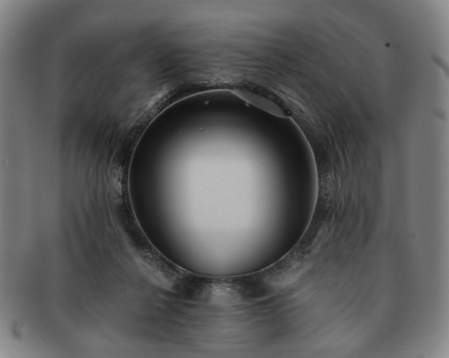 X0000091570264200708271205