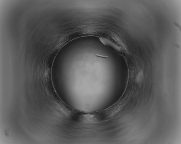 X0000091570265200708271205