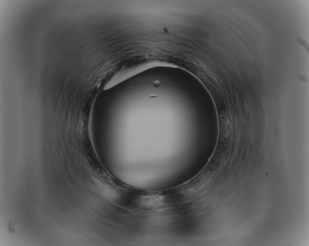 X0000091570266200708271205