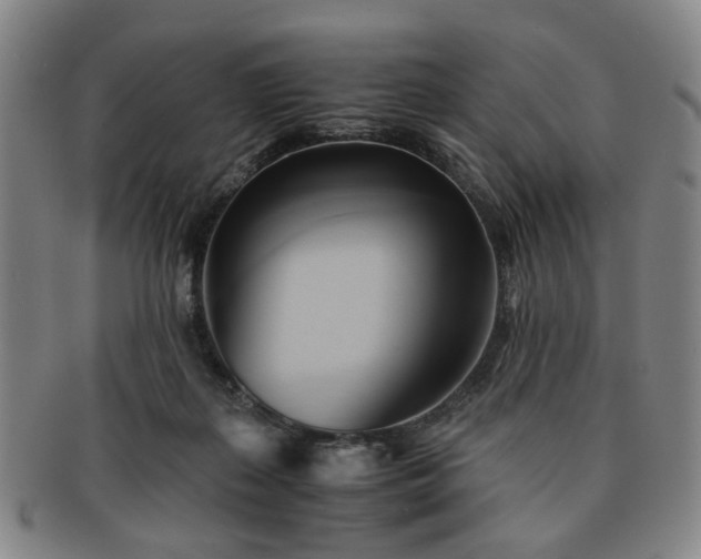 X0000091570267200708271205