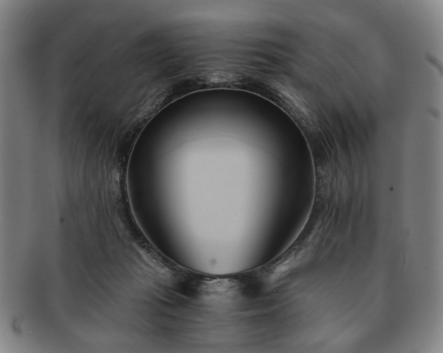 X0000091570269200708271205