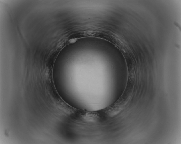 X0000091570270200708271205