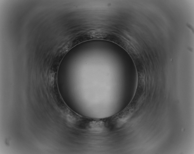 X0000091570271200708271205