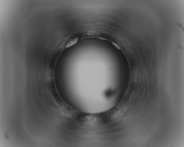 X0000091570272200708271205