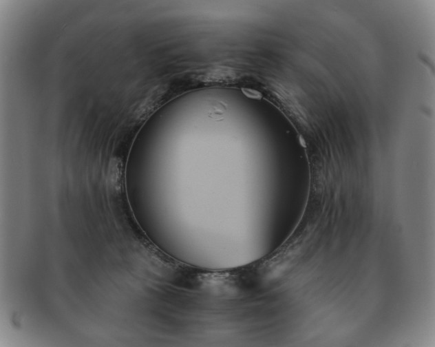 X0000091570273200708271205