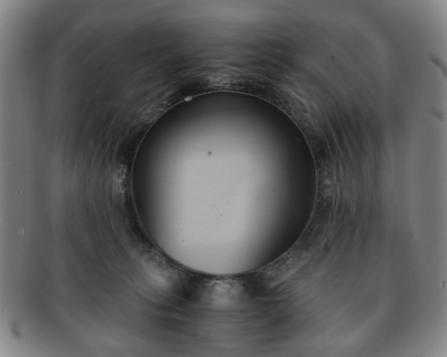 X0000091570275200708271205