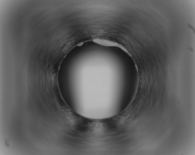 X0000091570276200708271205