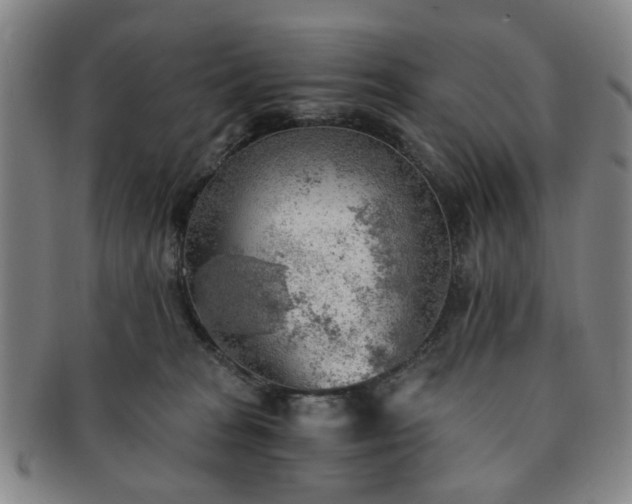 X0000091570277200708271205