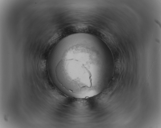 X0000091570278200708271205