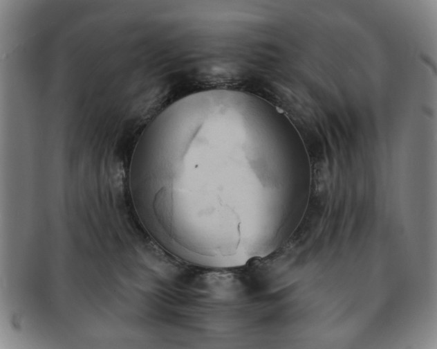 X0000091570279200708271205