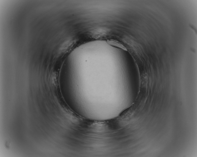 X0000091570280200708271205