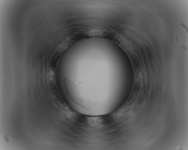 X0000091570281200708271205
