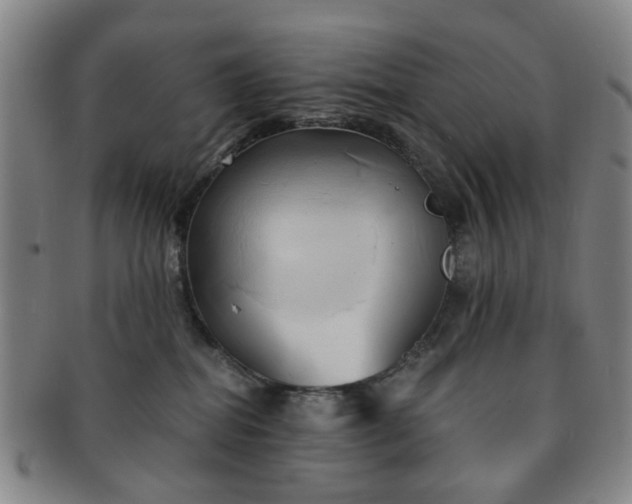 X0000091570282200708271205