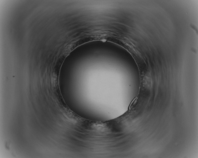 X0000091570283200708271205