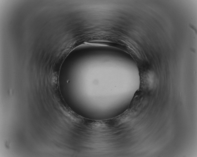 X0000091570284200708271205