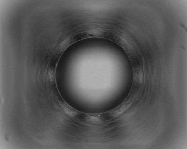 X0000091570285200708271205