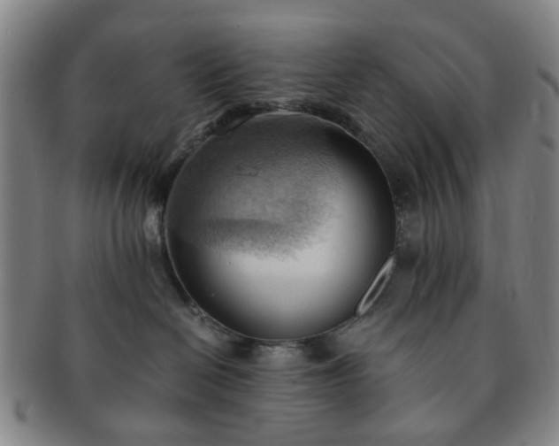 X0000091570286200708271205