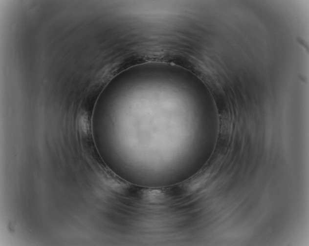 X0000091570287200708271205