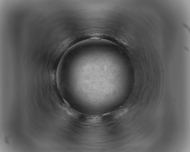 X0000091570288200708271205