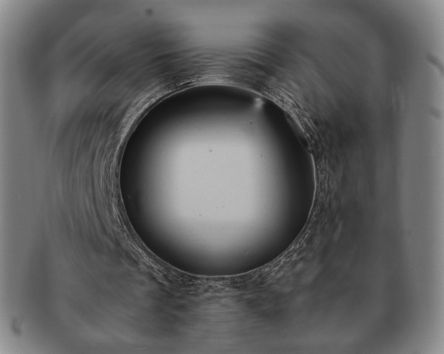X0000091570289200708271205