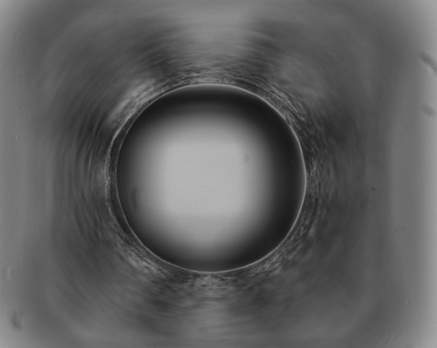 X0000091570290200708271205