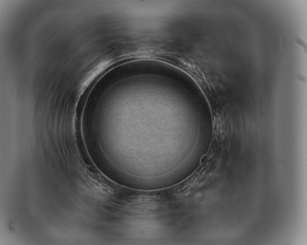 X0000091570292200708271205