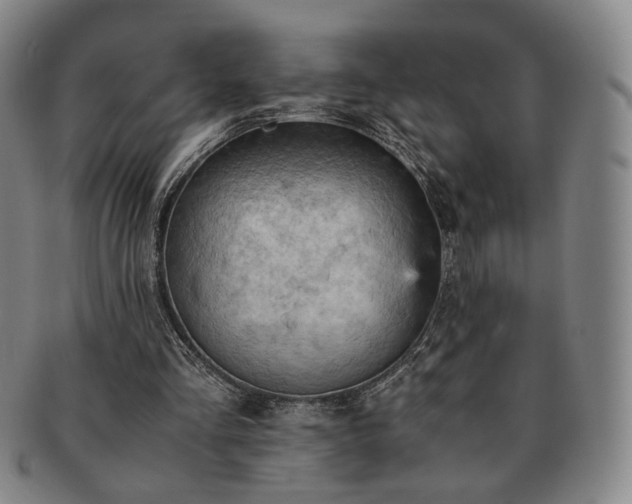 X0000091570293200708271205